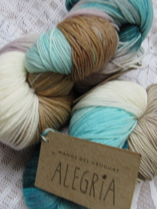 Manos Del Uruguay Other - Lot of 2 Manos Del Uruguay Alegria Yarn -Atlantico- Merino Wool(75%) Blend